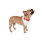 Be Mine Pet Bandana