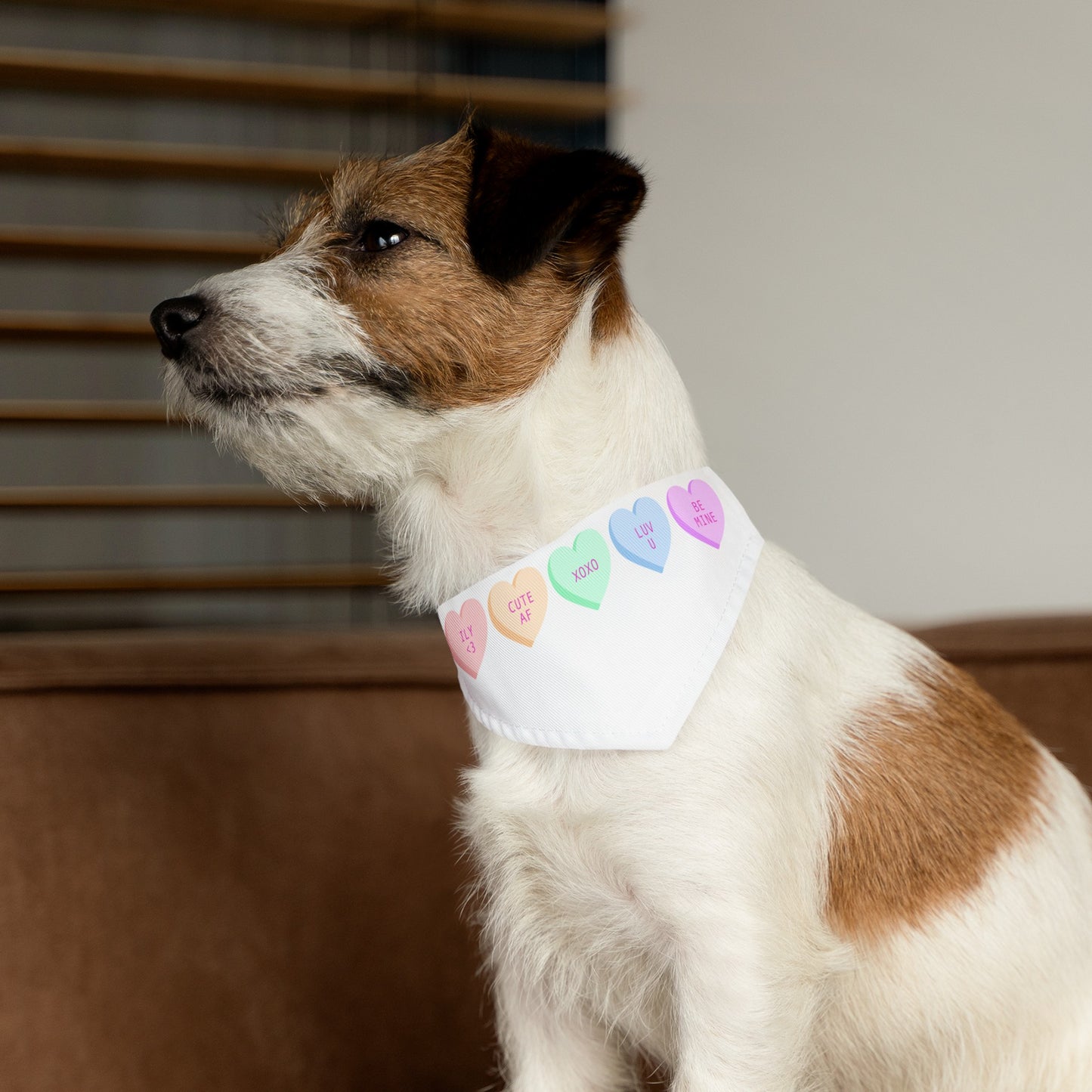 Valentines Pet Bandana Collar