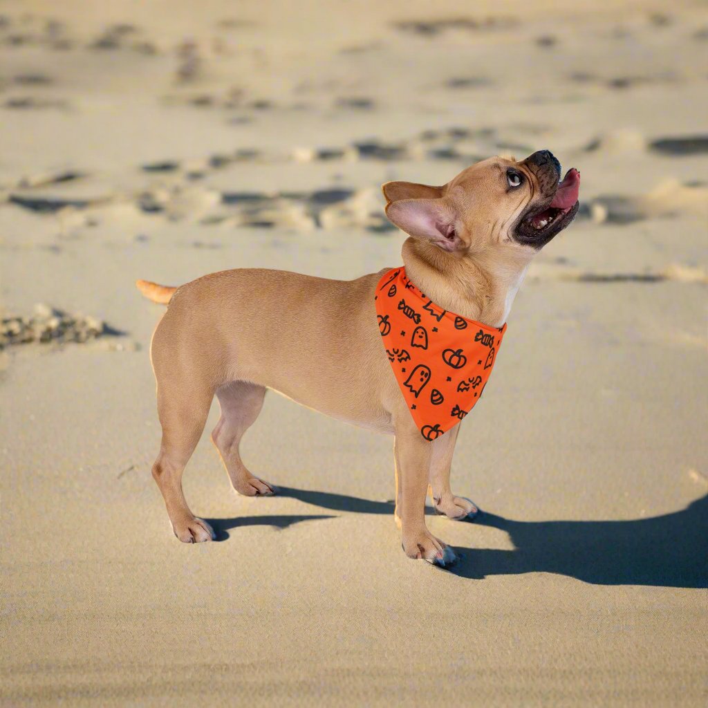Halloween Pet Bandana