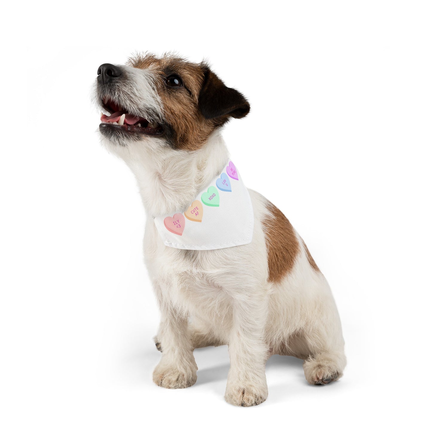 Valentines Pet Bandana Collar