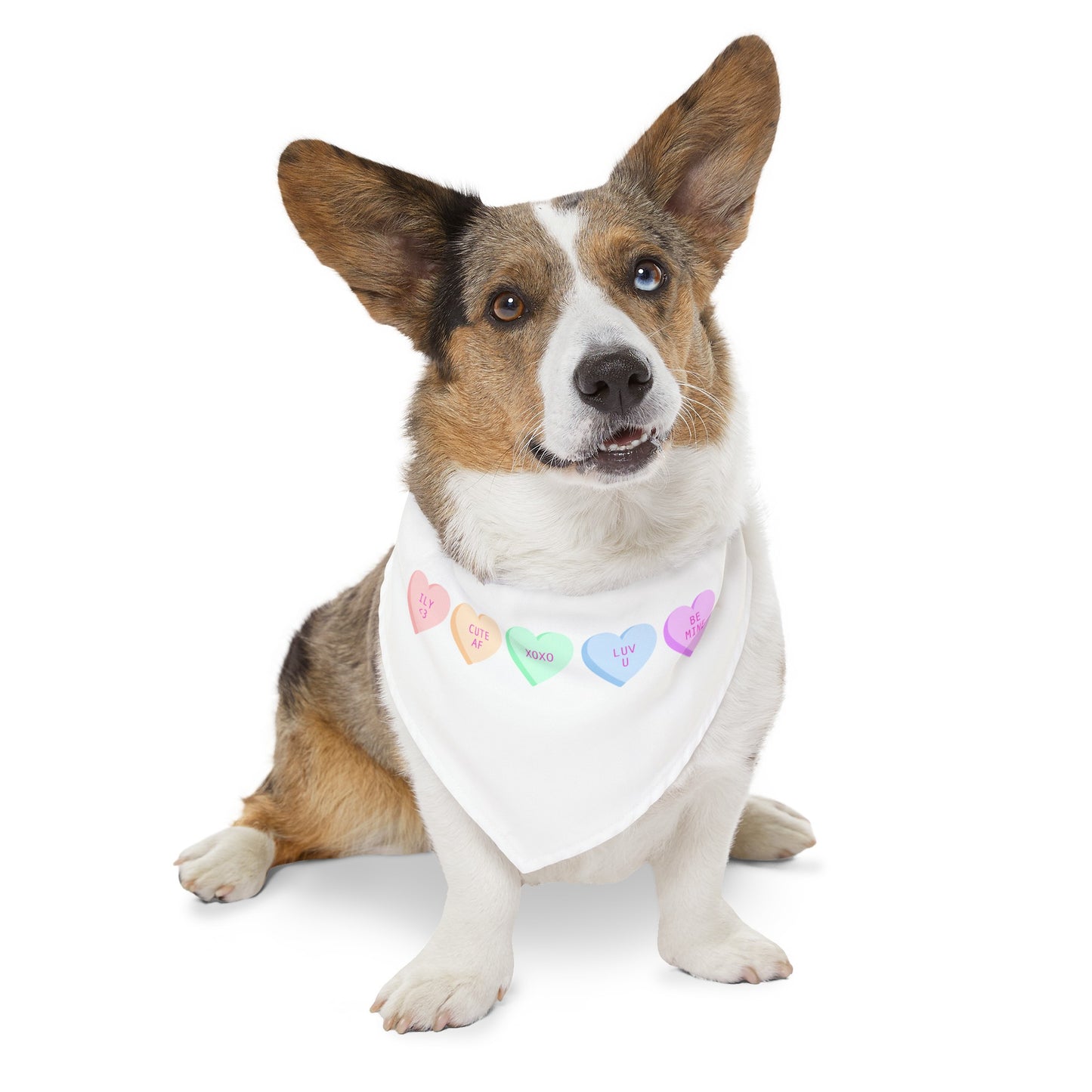 Valentines Pet Bandana Collar