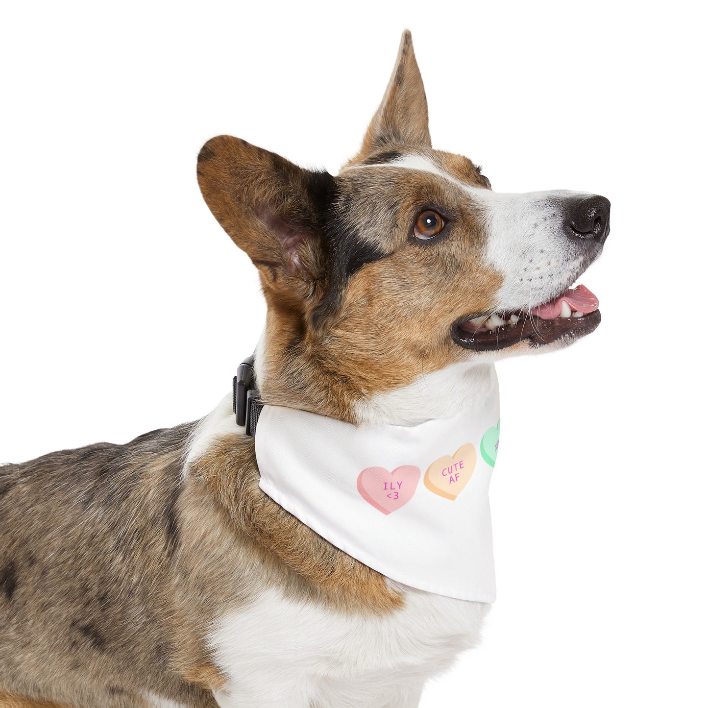 Valentines Pet Bandana Collar