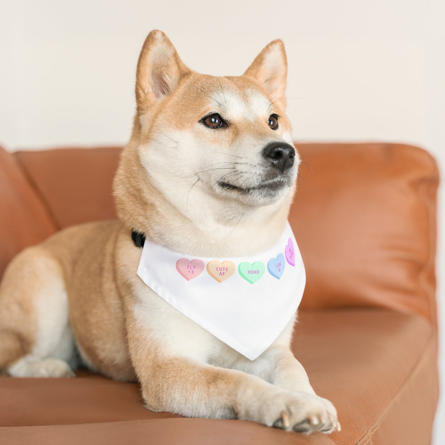 Valentines Pet Bandana Collar