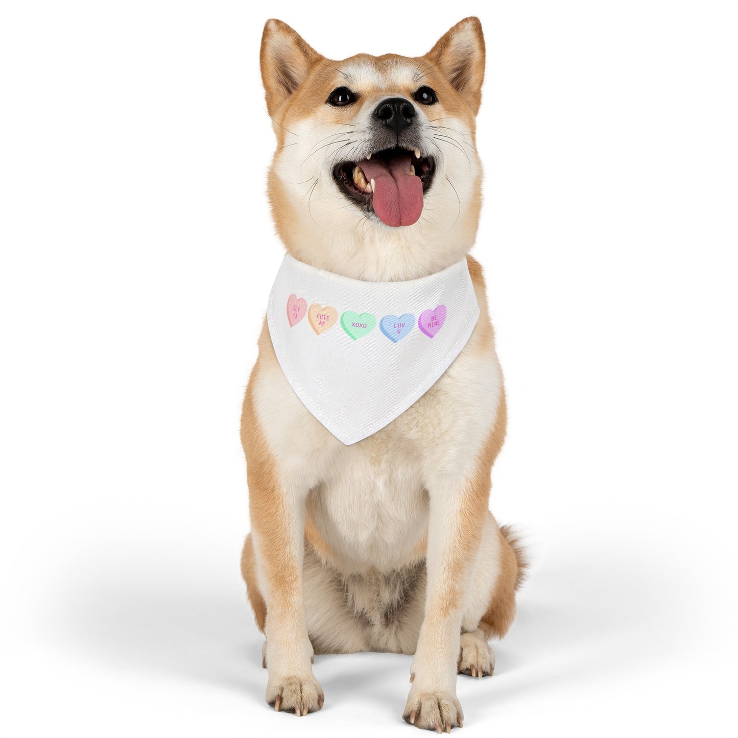 Valentines Pet Bandana Collar